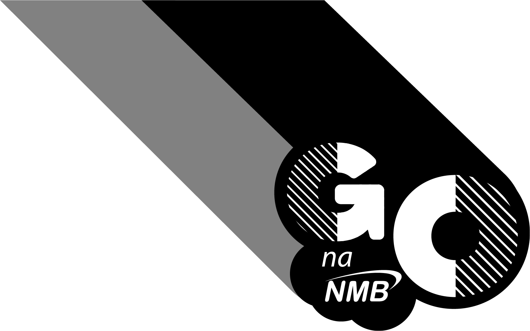 NMB Go Logo
